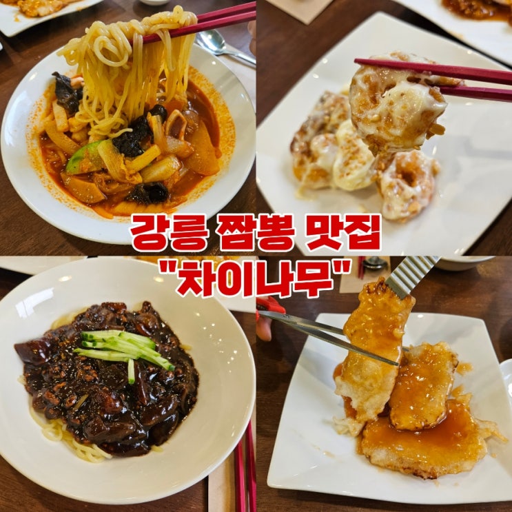 [강릉맛집] 앞으로 강릉 짬뽕 맛집은 여기! 포남동 '차이나무'