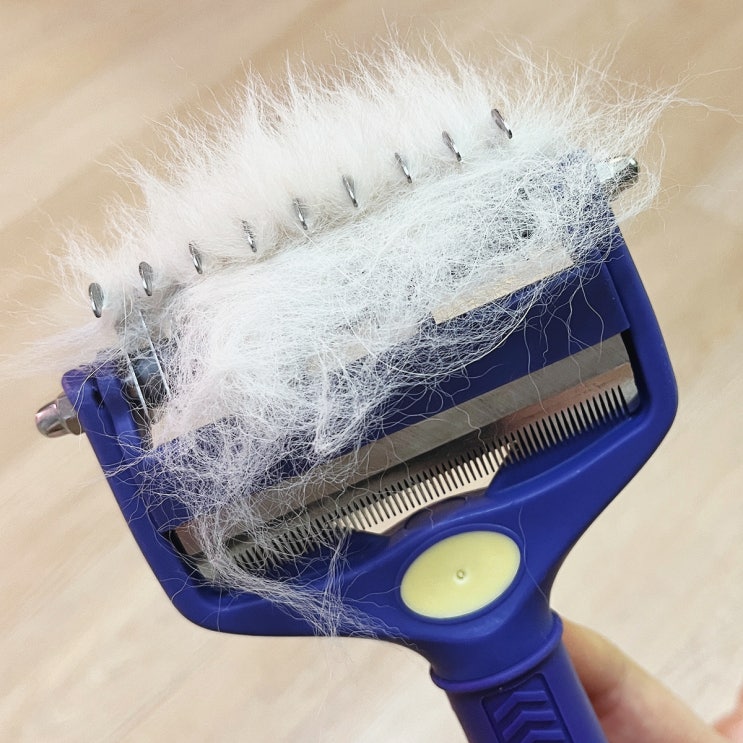 아프지 않고 마사지되는 고양이 강아지 빗 후기