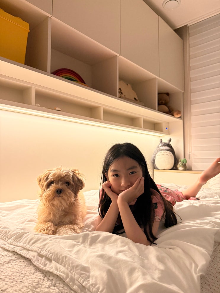 [초등학생 침대 책장 세트 가구 추천]100%내돈내산 아이 방 꾸미기