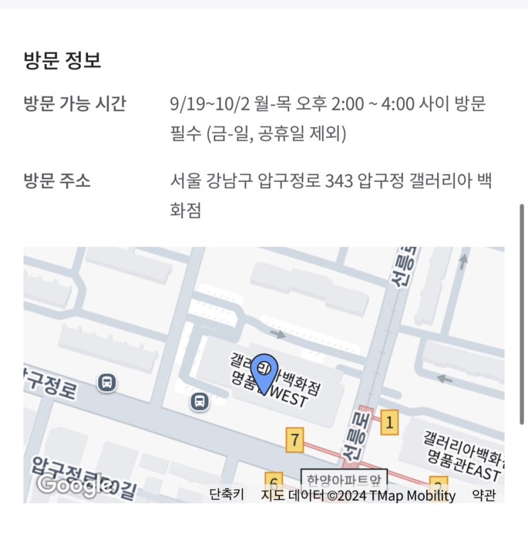 압구정갤러리아디저트 골든피스 찹쌀약과