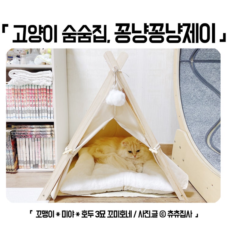 고양이 원목 하우스 꽁냥꽁냥제이 디자인 너무 예뻐요