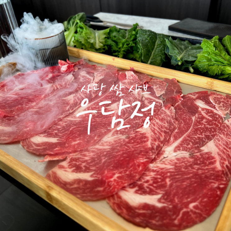 사당역 샤브샤브 우담정 한우 쌈 샤브 외식장소로 딱