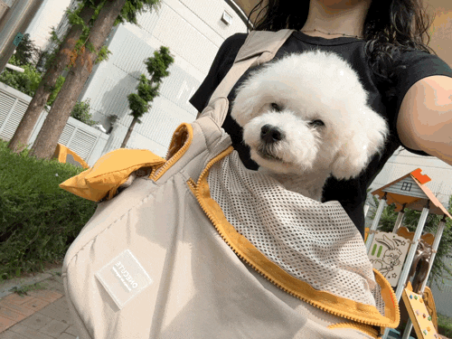 강아지 이동 가방 꽁냥꽁냥제이 아이보리 슬링백 추천하는 이유