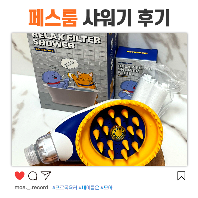 페스룸 릴렉스 필터 샤워기 강아지 여행 준비물