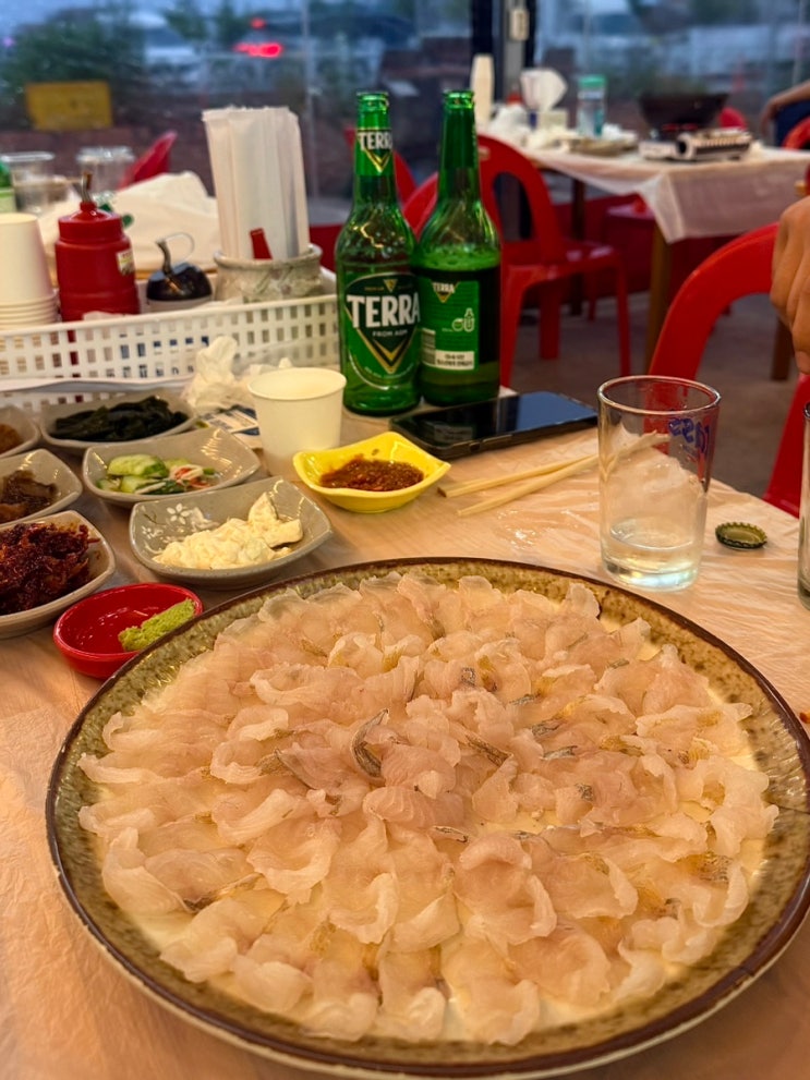 재방문의사 100% 속초해수욕장 맛집 추천 노포 야장 횟집 꼴망치회 내돈내산 [복용호]