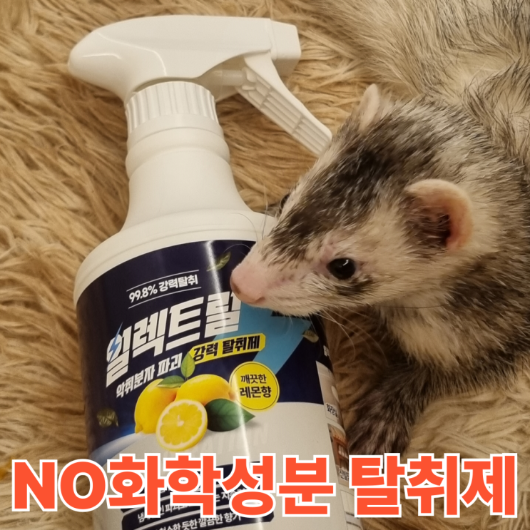 [일렉트릴] 99.8% 전기분해 탈취제 화학성분X,반려동물 추천