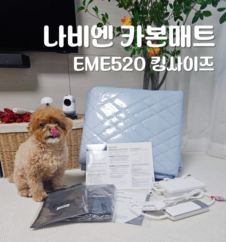 전기장판 대신 선택한 나비엔 탄소매트 eme520 내돈내산 후기