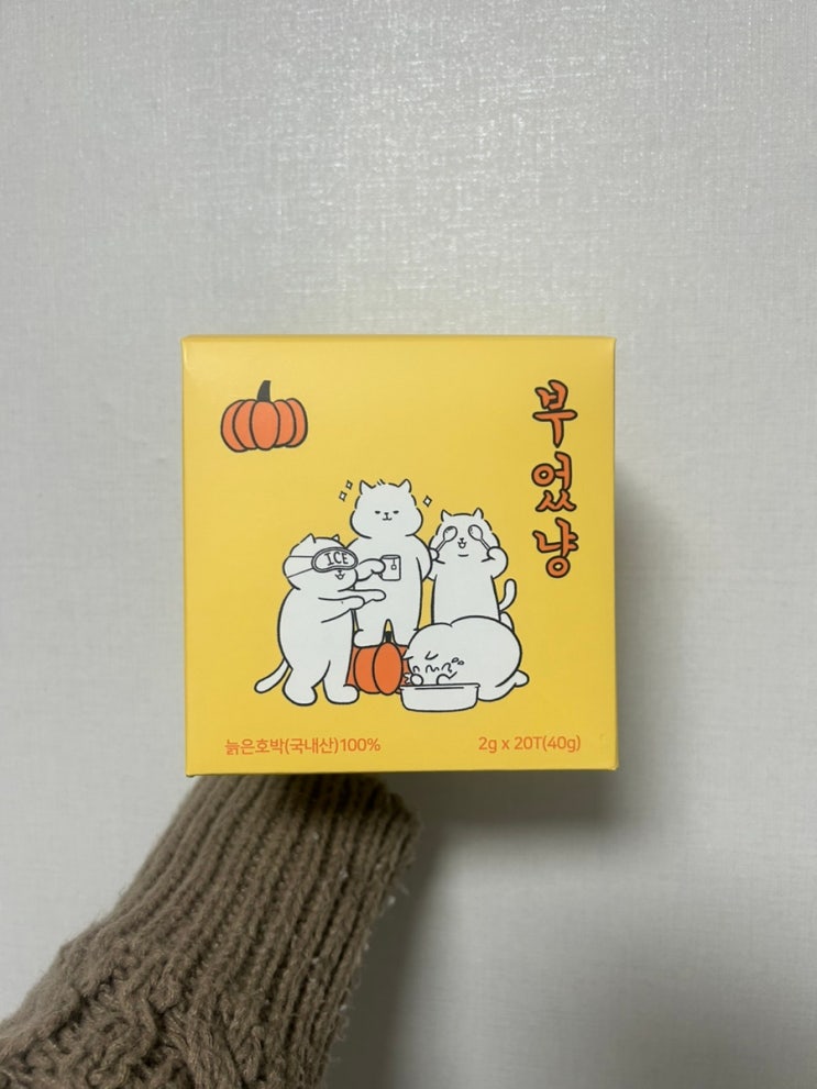 [제품 리뷰] 붓기차 추천 부었냥 호박티 후기