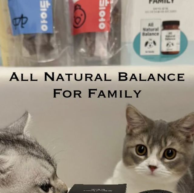 쪼말랭이네 ʕ¨̮ʔ♥ on Instagram: "#협찬 @all_natural_balance_for_family 쪼말랭이네🐾가 올패밀리 1기가 되었어요 👏🏻 “All Natural Balance For Family" 쌍별귀뚜라미를 재료로 한 올인원 영양제 💊 ✨