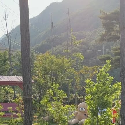 다롱지수  : 코덕 섬유근육통 환자(재활운동,다이어트 중)와 장모치와와 다롱 on Instagram: "#광고 
‘파크 오브 드림 글램핑‘에 갔다 왔어요!
캠핑은 한 번도 한 적 없는 저희 가족이
잘 놀고 올 수 있을까? 걱정했지만, 
완벽하게 온도조절 가능하고 샤워공간과
변기 공간이 분리되어 있어서 너무 좋았어요!

특히 저희 가족은 바비큐를 해먹어 본 적이
없어요. 숯불에 구워 먹는 게 너무 귀찮아서
펜션에 가도 야외 바비큐는 절대 안 했는데
여기는 고기를 훈연해서 바비큐를 먹는 식이라
올려놓고 2시간 정도 쉬면서 스타일링 캠프 하우스에서
예쁜 식탁보랑 식기류들을 세팅해놓고 편안히 쉬고 있으면
완성🍗 ! 
덕분에 처음으로 바비큐라는 걸 직접 해봤어요😅

댕댕이 운동장도 있고, 
계곡물을 직접 끌어와서 만든 계곡도 있어서
너무 낮에 더워해서 잠깐 다롱이도 수영도 해보고
다만 다롱이는 도시보이이인지… 처음에는 낯설어하더니
금방 적응하더라고요😅 

‘더 팜’ 시설에는 아이들이 체험할 수 있는 모래놀이장 등이
있어서 아이들과 와도 너무 좋겠더라고요👍

#글램핑 #키즈카페 #글램핑장 #세종글램핑 #glamping #글램핑장⛺️ #glampinglife #댕댕이글램핑 #강아지와글램핑#계룡산글램핑파크오브드림"