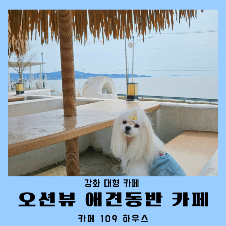 강화대형카페 오션뷰 애견 동반 카페 109하우스