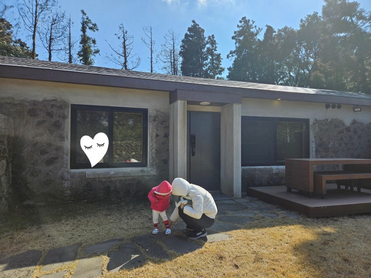 2025.03.17 제주독채펜션 제주감성숙소 (사우나 노천탕 돌집 훈온)