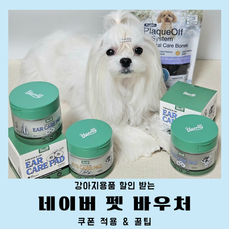 네이버 펫 바우처 강아지용품 간식 할인 받는 방법