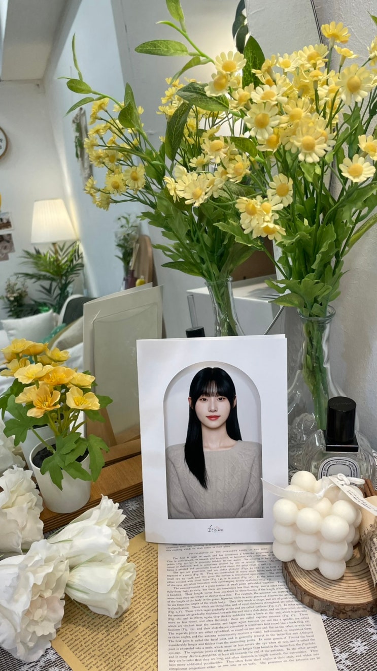 [중구/을지로3가] 자연스러운 보정으로 만족도 높은 을지로사진관 ‘흐드러지다 스튜디오’