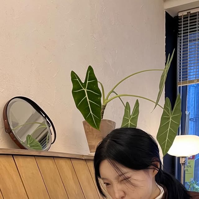 @___zzung_hl on Instagram: "#광고
2026년 추운 날씨에도 예쁘고 싶다면? 
빈티지 감성 제대로인 살린
오사와 OW-116 카밀 스냅 자켓 어떨까요?

핏, 색감, 재질,디테일까지 다 잡았어요 🫶🏻
아우터는 오사와에서 !

링크는 여기로 👉https://osawa.co.kr/
.
.
.
.

#오사와 #OSAWA #스웨이드자켓 #자켓추천 스냅자켓빈티지여성스트릿 캐주얼 페미닌 트렌디룩 데일리룩 코디추천 모던시크 스트릿패션 아담소녀 jacket"