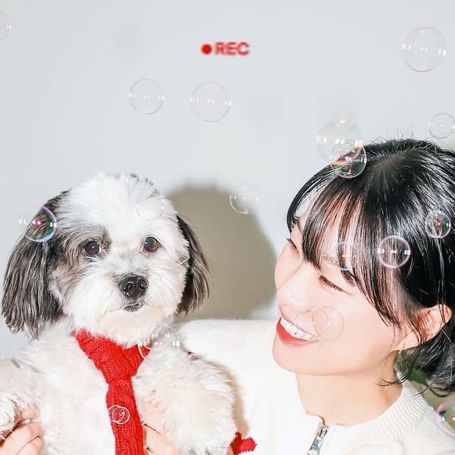코르 | 펫인플루언서 on Instagram: "#협찬 ᰔ코르야 방울방울해🫧 셀프사진관에서 둘만의 추억 남기기◡̈⃝✩‧₊ 독립된 공간에서 즐겁게 찍다보니 시간 순삭📸 #강아지셀프촬영 #강아지촬
