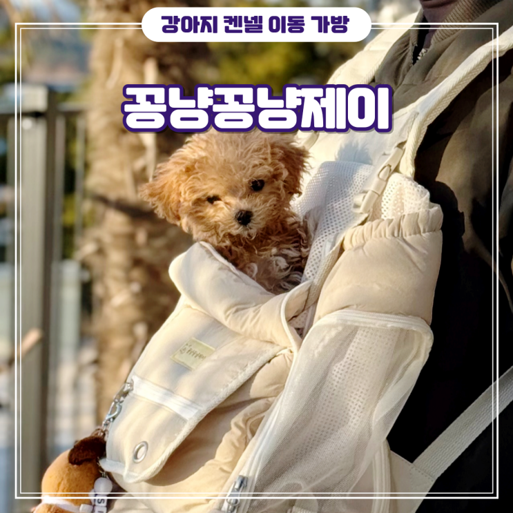 강아지 고양이 산책 이동장 외출 가방 백팩 캐리어 기내용 가격 후기 - 꽁냥꽁냥제이