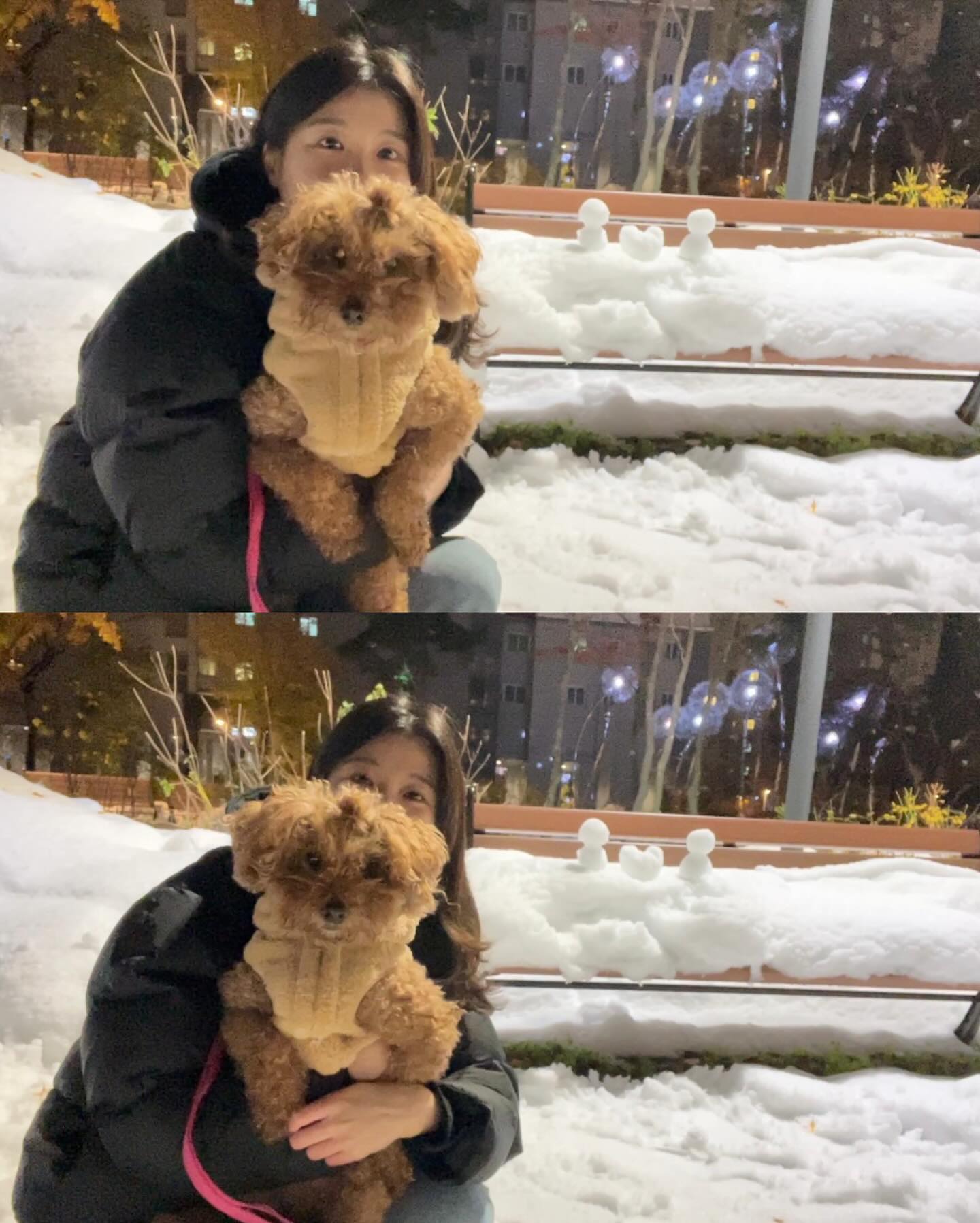 24년 마지막 게시물은 제리랑 함께 🤎