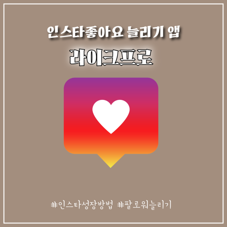 인스타 한국인 팔로워 라이크프로 활용해서 계정 키우기 성공한 후기