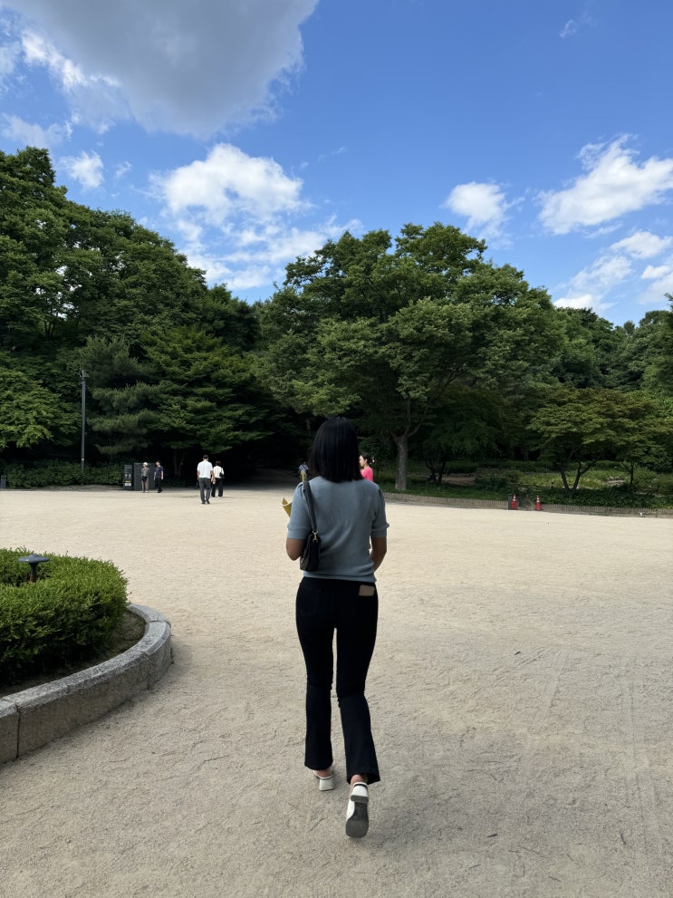 피치핏 골반필러진 솔직후기