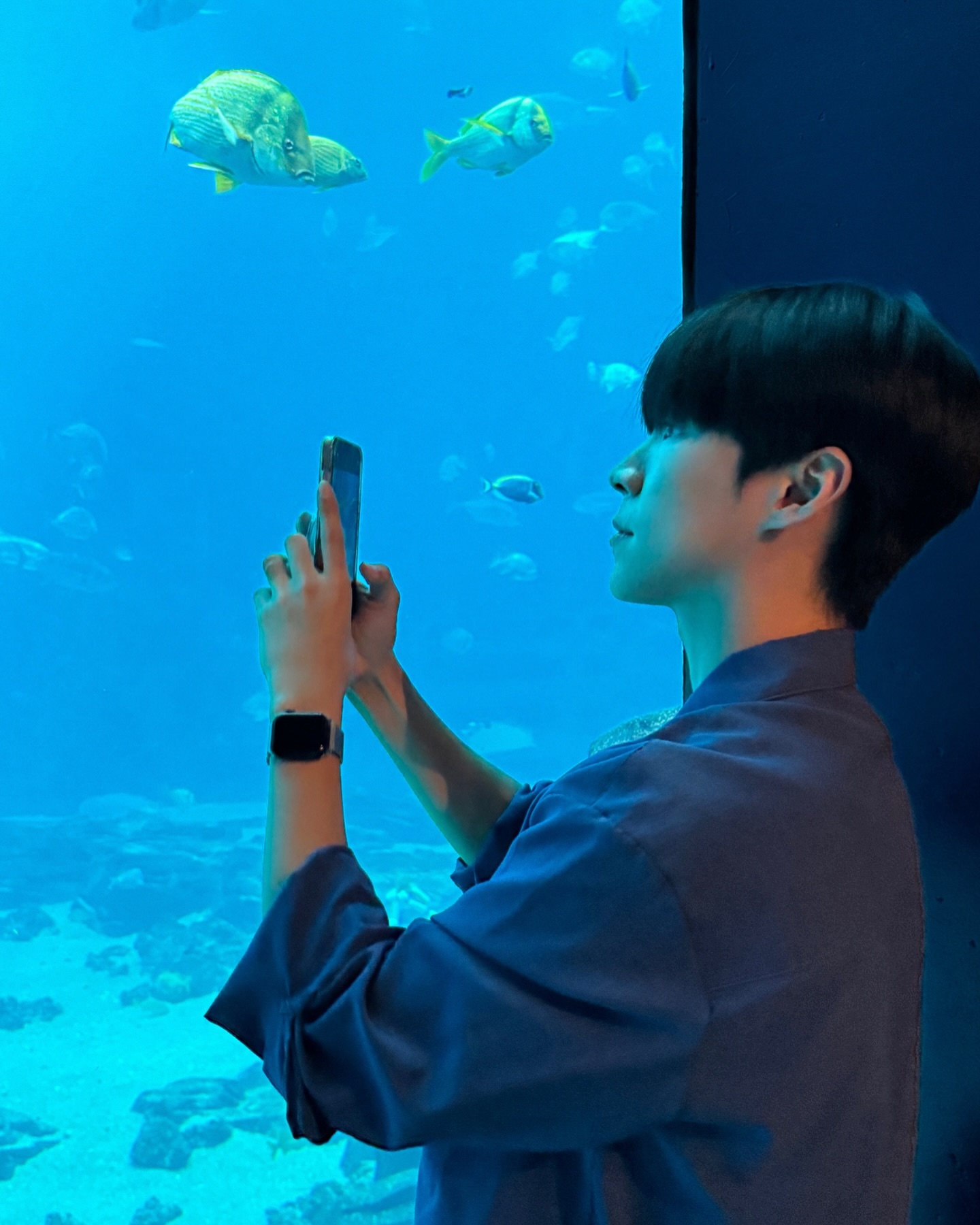 올릴거 없어서 올리기