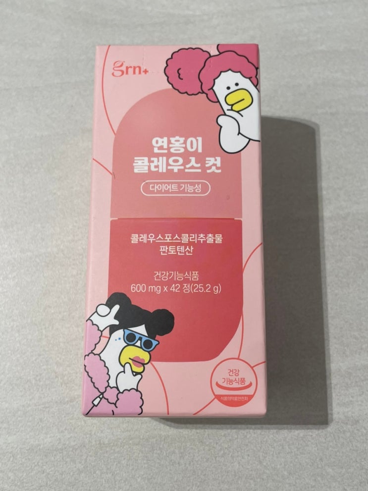 포스콜린 콜레우스포스콜리 연홍이 grn
