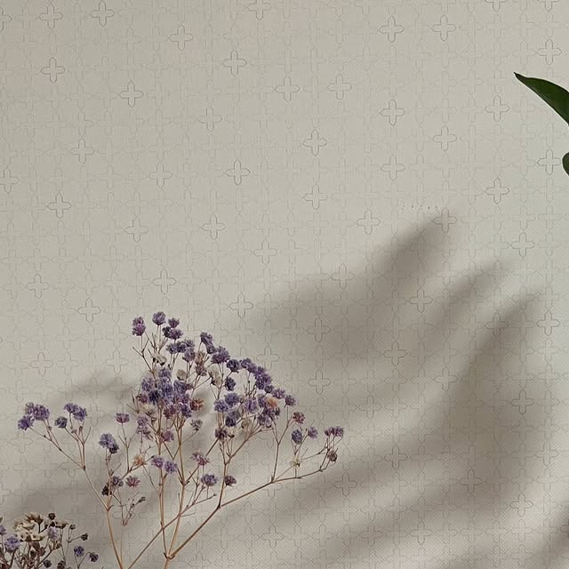 SOHEE 소희 on Instagram: "#광고 유리알광같은 틴트 찾으시면 요고 추천드려요-!! 립글로즈같은 제형으로 광이 도는 틴트에요 :) 색상이 정말 다양하니 웜톤/ 쿨톤에 맞는 원하는 색상 고르시기 좋아요 😊

@2an_official 

#투에이엔#글레이즈바운싱틴트#캔디광#탱글광#마일드플럼핑#맑은틴트#올영추천#틴트추천#2aN"