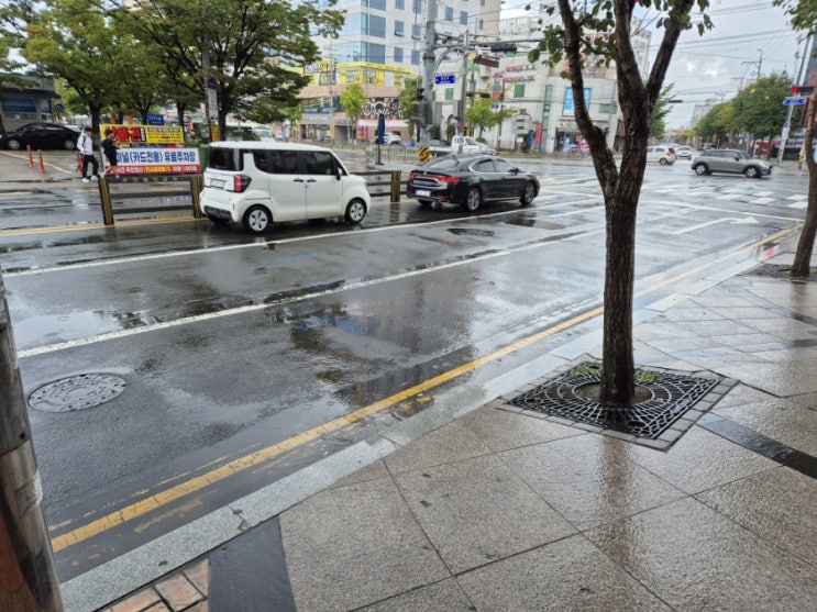 남성유산균 추천 좋은버릇 파워맨