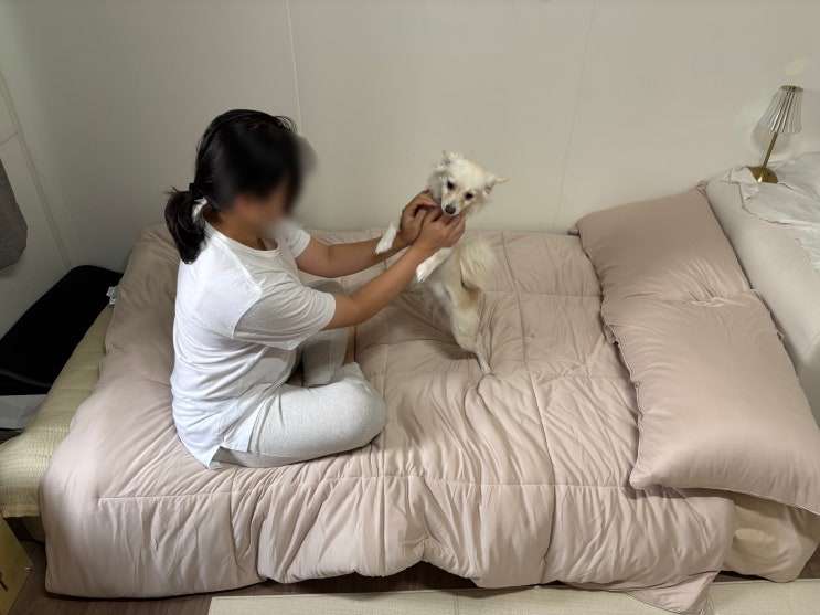 아토레스트 차렵이불, 아토피 피부도 편하게 덮는 알러지케어 무자극이불