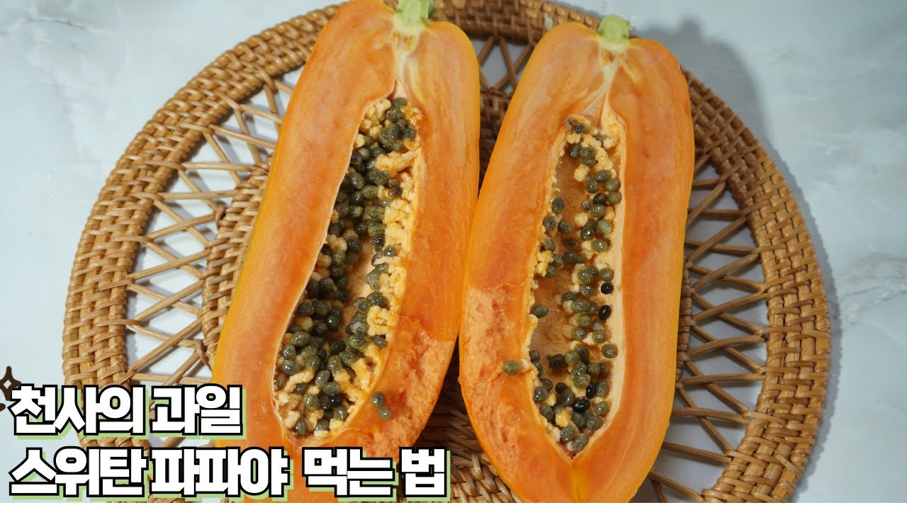 이색 열대과일 포천스위탄 파파야 먹는법