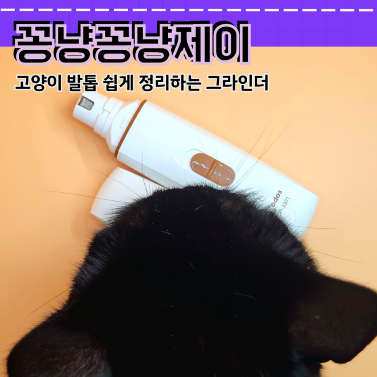 고양이 발톱 그라인더 고양이 발톱깎이ㅣ꽁냥꽁냥제이