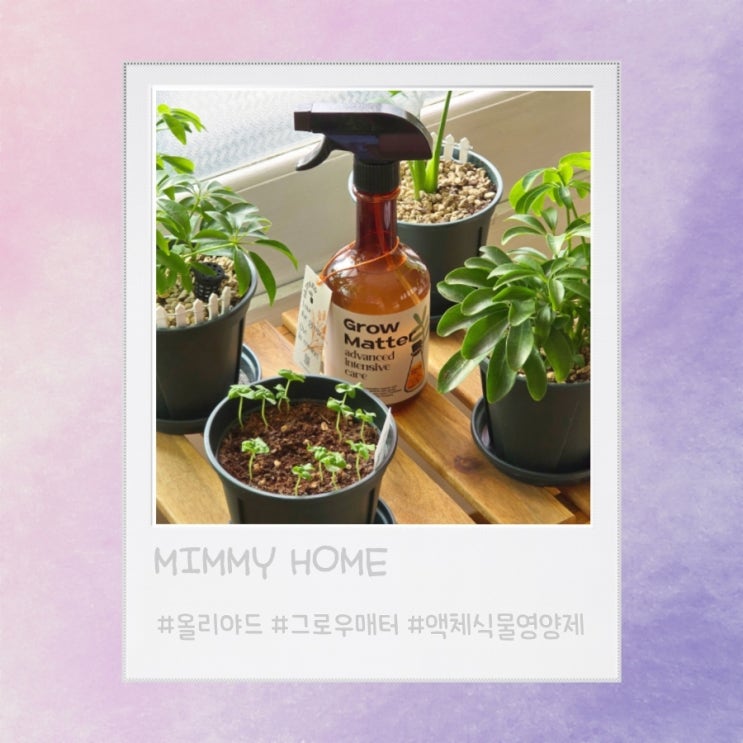 뿌리는식물영양제 '올리야드 그로우매터 식물 영양제'