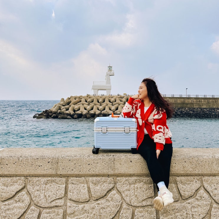 기내용 캐리어 추천, 리드볼트 오딧플랩 20인치 파일럿 캐리어