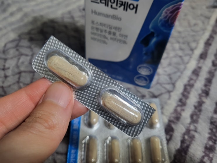 기억력 인지력엔 브레인케어 속 포스파티딜세린 효능