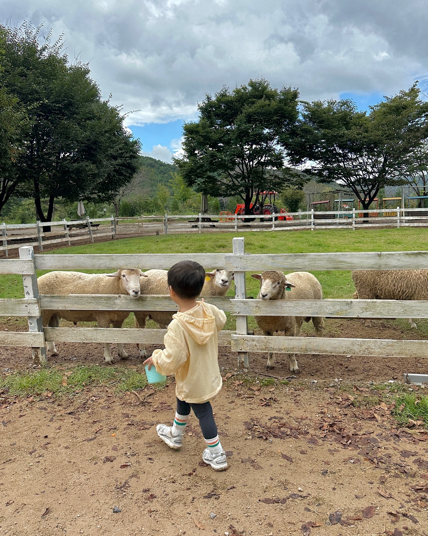 아기도 강쥐도 부모도 행복했던 공간 #포니랜드
승마체험, 양먹이 체험이 가능한 곳. 부산 근교의 예쁜 장소.
공기도 넘 좋고 풍경도 예쁘고 행복했습니다🤍

#부산아이와가볼만한곳 #부산아이랑가볼만한곳 #울산아이와가볼만한곳 #울산가볼만한곳 #동물 #육아 #육아소통 #육아일상
