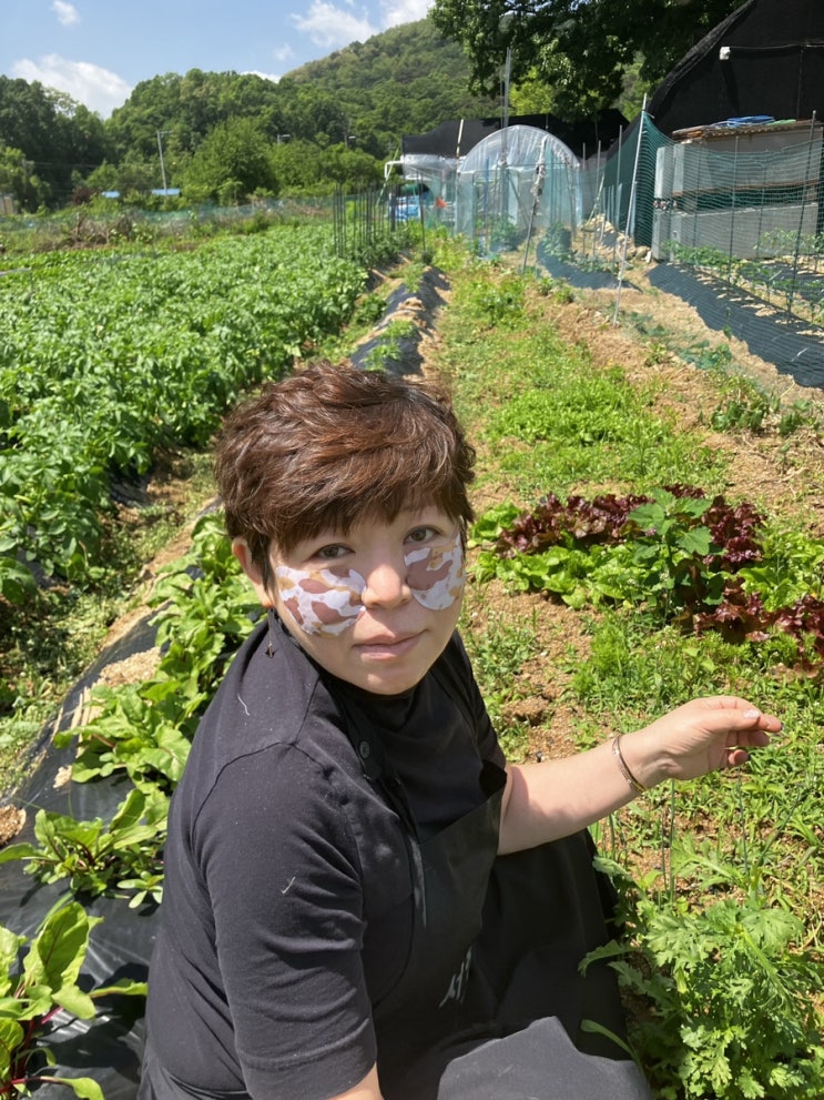 선 패치 네이비 씰 후기 !