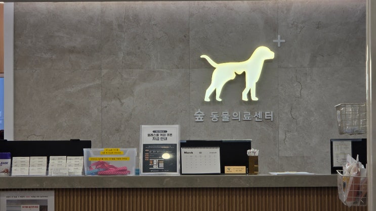 대전동물병원 숲 동물의료센터 방문, 차분한 진료 후기