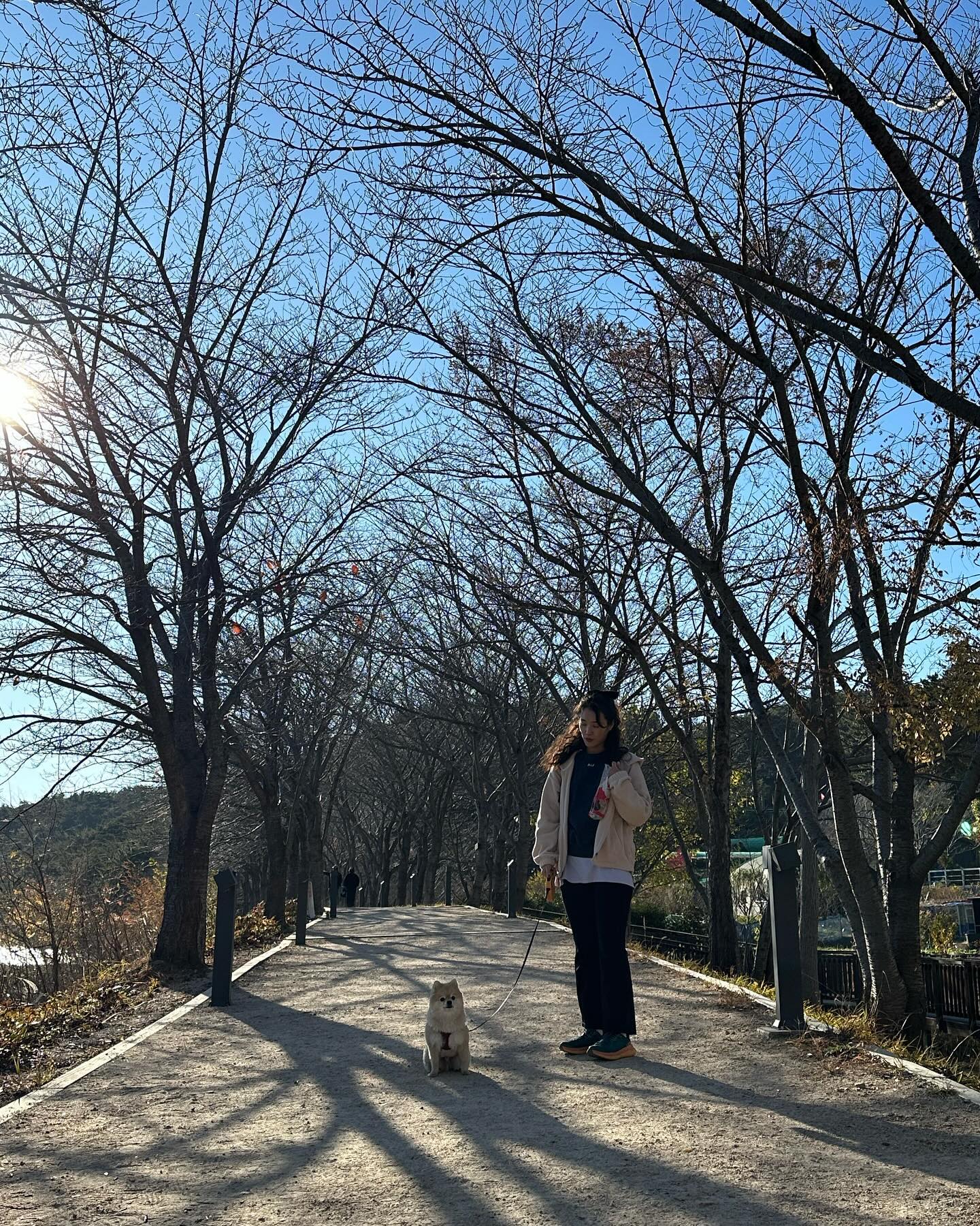 .
.
복댕이가 너무 늠름하죠? 🐶

#포메라니안 #물개컷 #귀여움주의