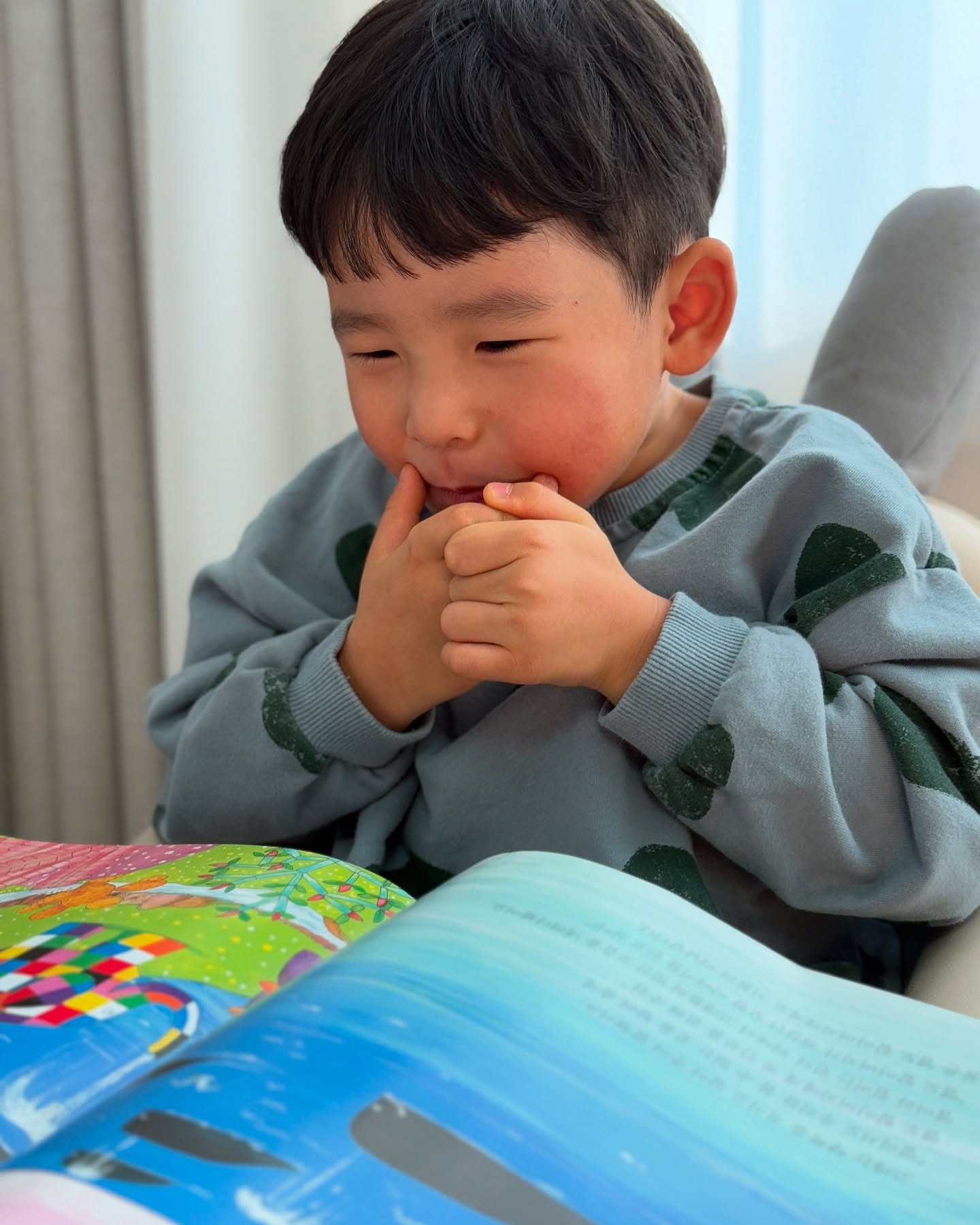 콘텐츠