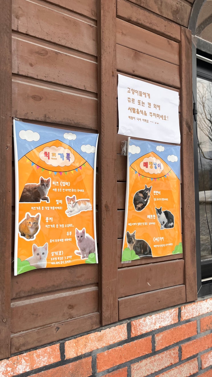 [충남 공주 여행] 눈 오는 날, 공주 파크오브드림 글램핑ㅣ부여펜션ㅣ부여펜션추천ㅣ대전 근교ㅣ겨울글램핑❄️☃️