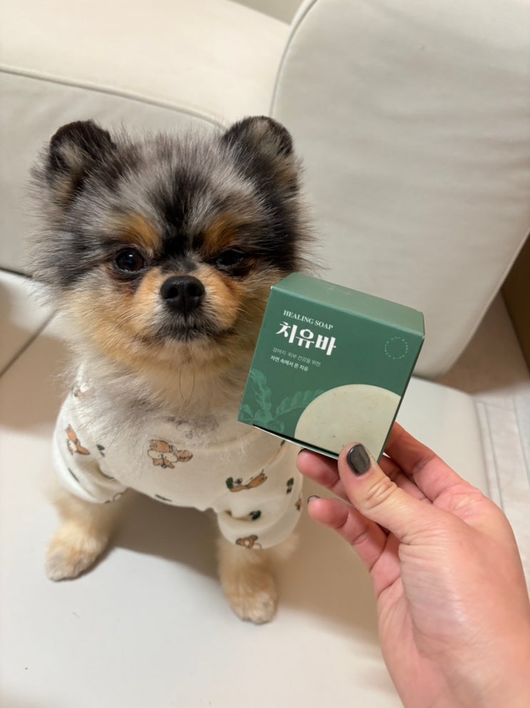 알로페시아 강아지 샴푸/비누 리프앤로어 치유바 후기🧼