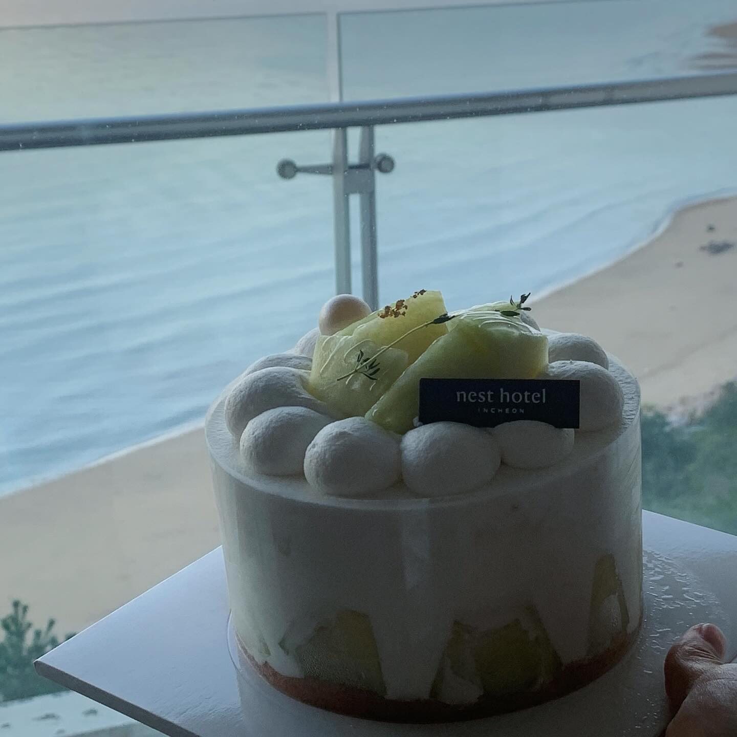 무의도에서 서프라이즈 케이크🎂
.
.
.
#무의도 #생일케이크 #네스트호텔 #메론케이크