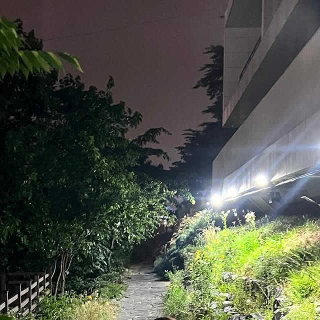𝓜𝓲𝓷𝓙𝓪𝓮 on Instagram: "#광고#제품제공
벌써 이브랜드의 상품을 3개째 소개해드리는데요!
살짝 덥고 습한날씨에 딱 좋은 옷입고
산책 한바퀴 했답니당🌀

쿨니트라 더위 많이 타는 분들에게 왕추천!!
게다가 목답답하면 잘 못입는데 오픈카라넥 형태로 목답답함도 없이 입을수있어요!✨🫣✨

다른색상도 있으니 보고싶다면 아래 인스타로고공~🧸
@1rony9orno_official 
.
#광고#아이러니포르노#아이러니포르노화이트라인#IRONYPORNO#IRONYPORNOWHITELINE#반팔#쿨니트#여름니트#카라니트#니트#니트반팔#Knit#일상#일상스타그램#소통#팔로우#맞팔#패션#무신사"