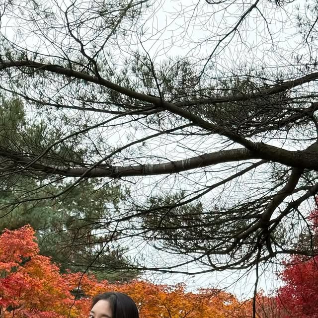방민지 on Instagram: "가을이라 빈티지 워싱 데님이 더 잘 어울리는 시즌🍂🍁

허리부터 밑단까지 떨어지는 벌룬핏이 예뻐서
맨투맨이나 니트랑 툭 매치해도 분위기 나는 코디 가능

원단이 탄탄한데 부드럽고, 포켓도 넉넉해서
요즘 편하게 잘 입는 중!

https://alie.kr/9BWdlQp

#광고#오사와#osawa#여성스트릿#캐주얼#페미닌#트렌디룩#데일리룩#모던시크#스트릿패션#코디추천#데님팬츠#와이드팬츠#하의#팬츠#바지#벌룬팬츠"