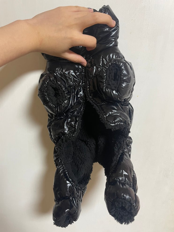 [제품 리뷰] 루루핏 강아지 겨울 글로시 패딩점퍼 후기