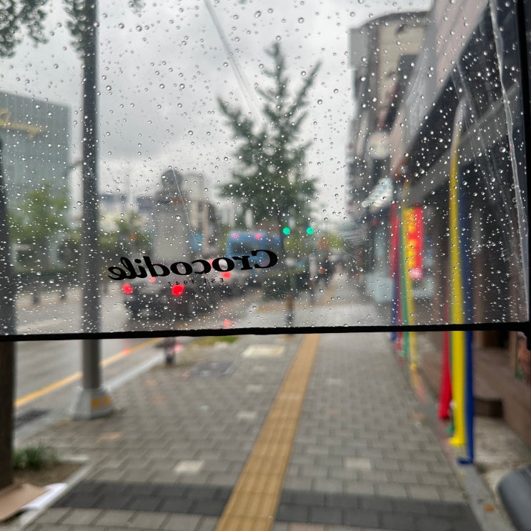 크로커다일 투명 장우산 세트 시야 확보 쉬운 넓고 튼튼한 우산추천