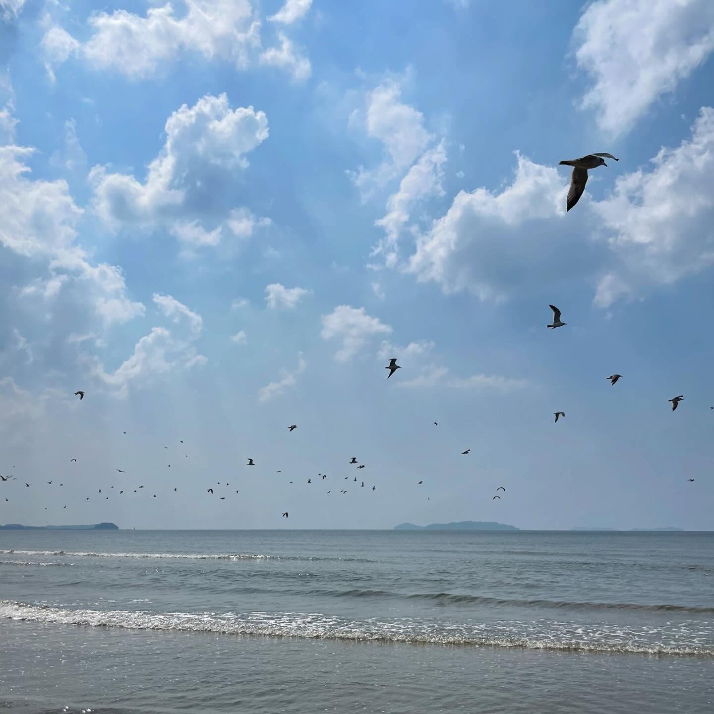 바다 : 함께, 둘이서, 때론 혼자도 너무나 근사한 시간 :)