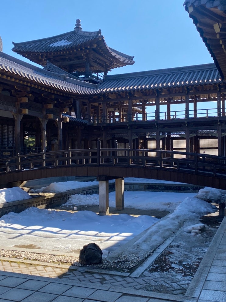 서울에서 40분 용인 대장금파크 겨울 글램핑 후기