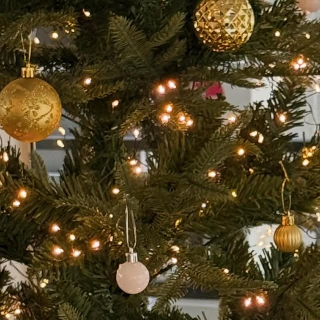 hyeji on Instagram: "#광고 추웠던 연말 따뜻한 오버핏 글로시 패딩과 예쁜 트리 그리고 프토만 이쓰면 완벽해.. 🥞🎄"
