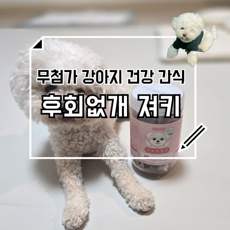 후회없개 근육요정견 강아지간식 강아지져키 추천